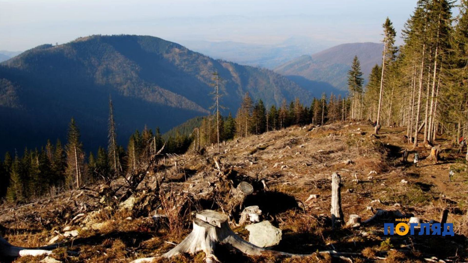 Екологічна безпека як пріоритет: чому не можна ліквідовувати органи формування довкіллєвої політики (ФОТО) - зображення